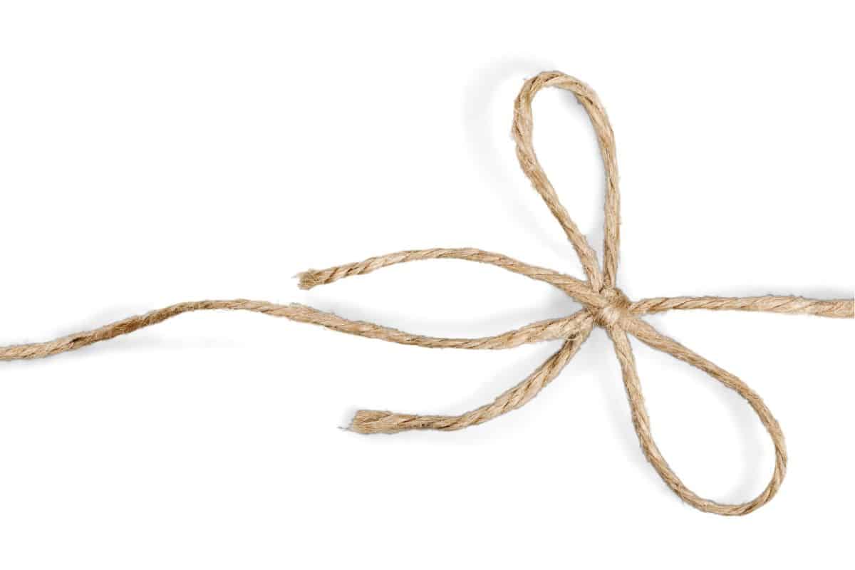 How To Tie A Hammock Knot [In 5 Easy Ways]