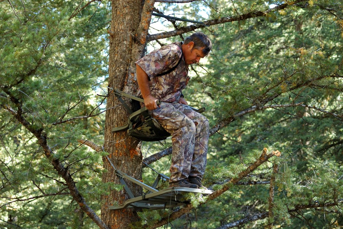 The 4 Best Hang On Tree Stand Options & Buyer's Guide